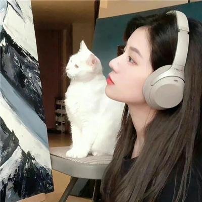 相爱的停损点