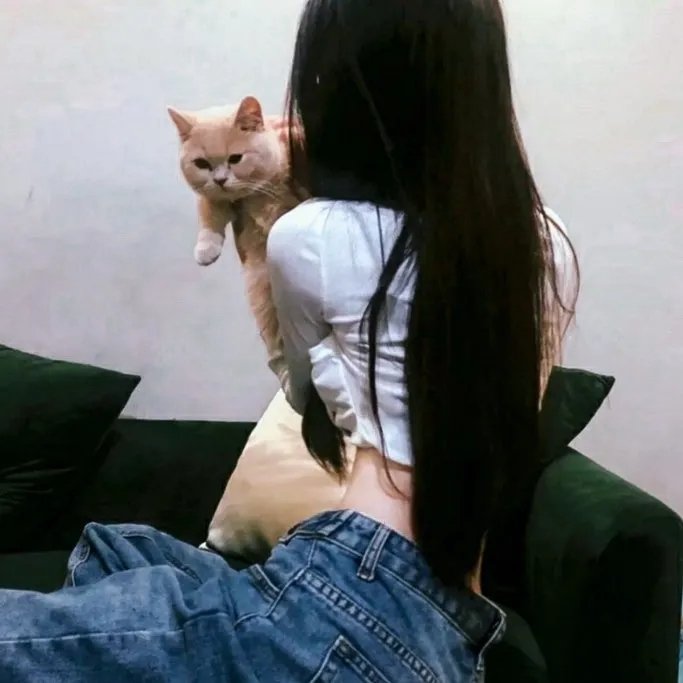 万里走单骑第三季