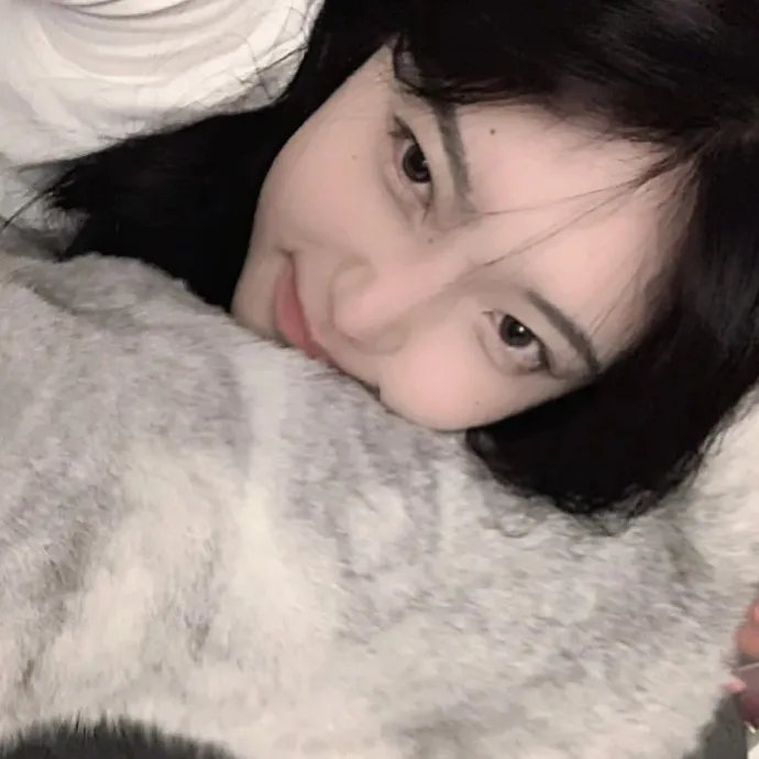 猪猪侠